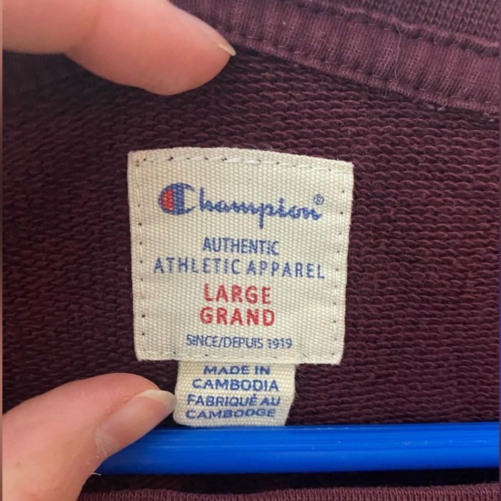 Champion sweater